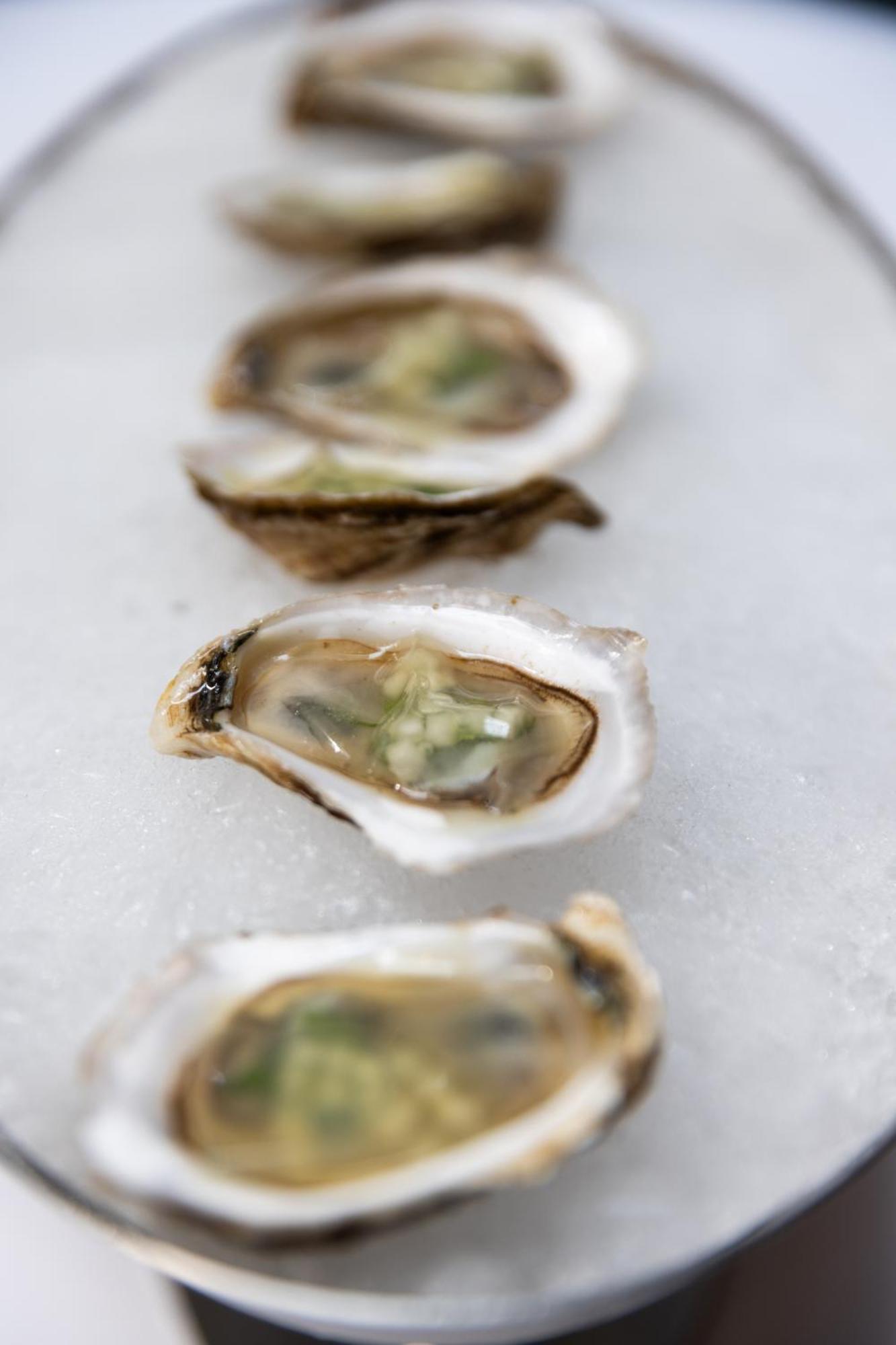Hotel The Evelyn Nomad New York Esterno foto Oysters